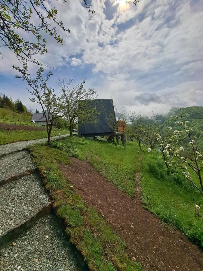 Fern Farm Tiny Home Mojkovac Exterior foto