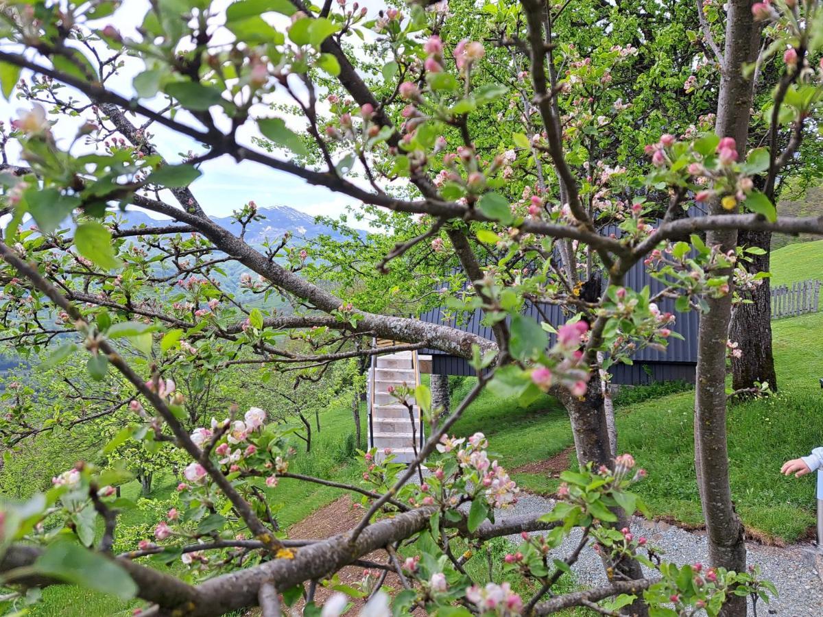 Fern Farm Tiny Home Mojkovac Exterior foto