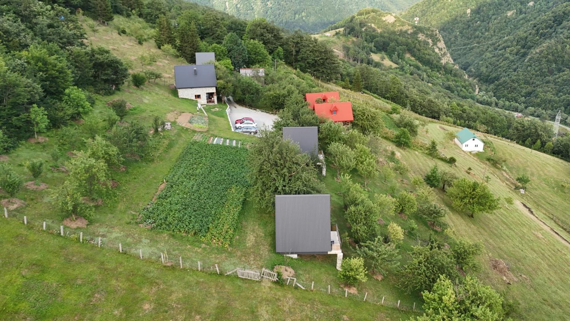 Fern Farm Tiny Home Mojkovac Exterior foto